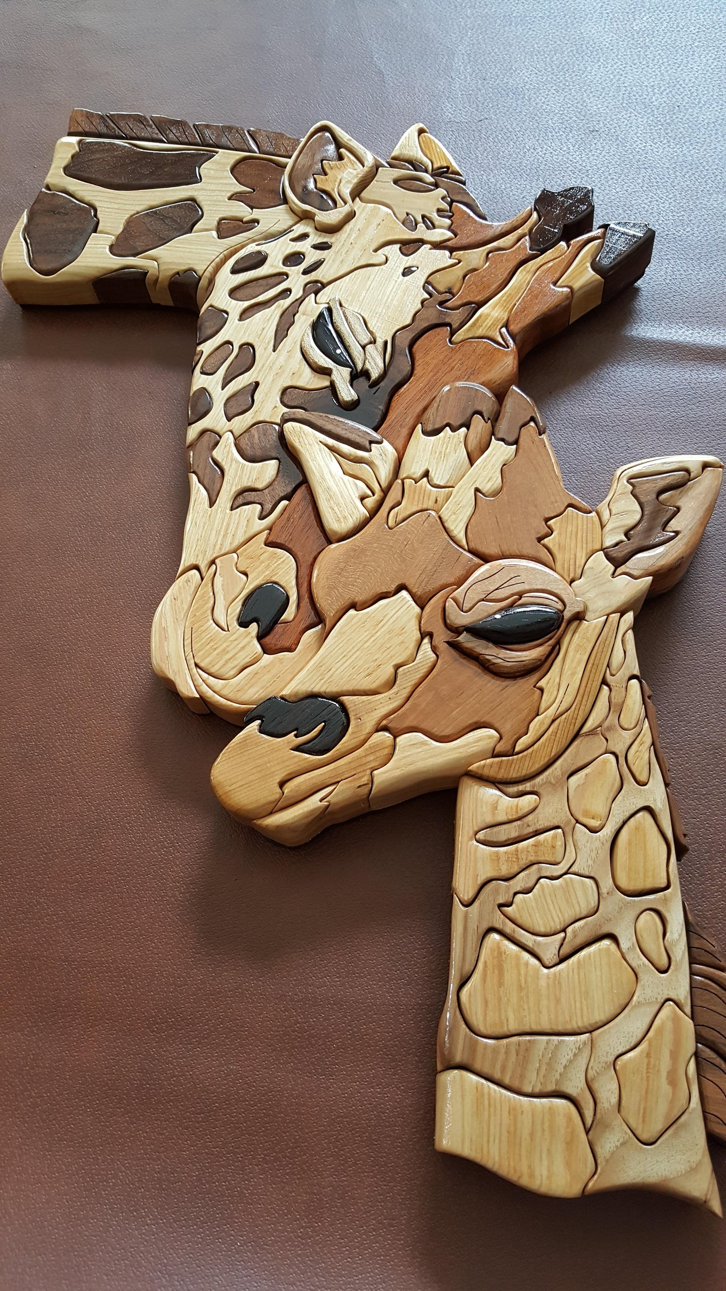 Mom and Baby Giraffe