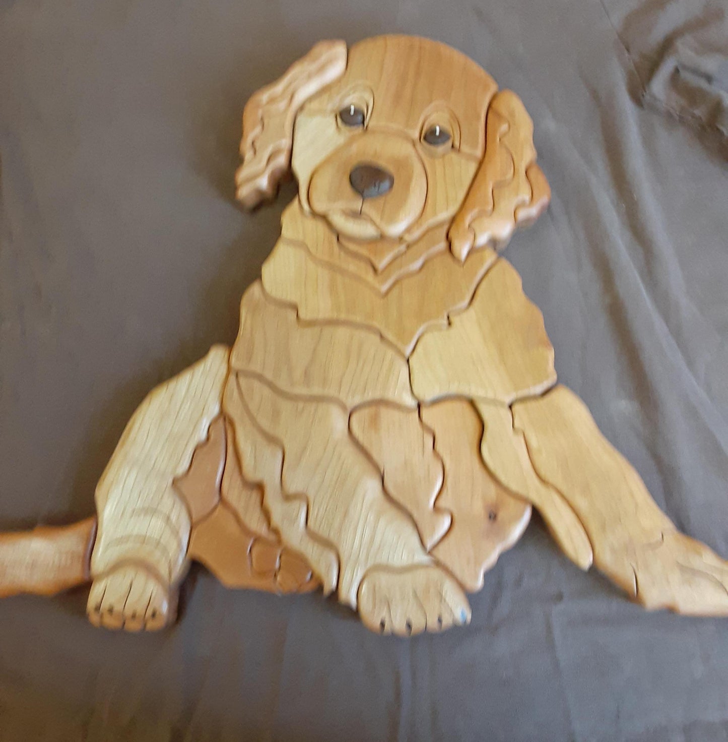 Dog - Golden Retriever Puppy