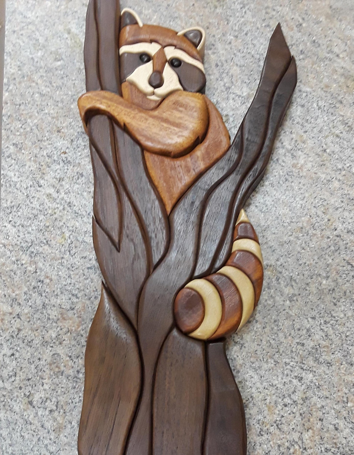 Raccoon in a Tree