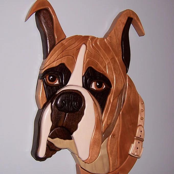 Dog - Boxer