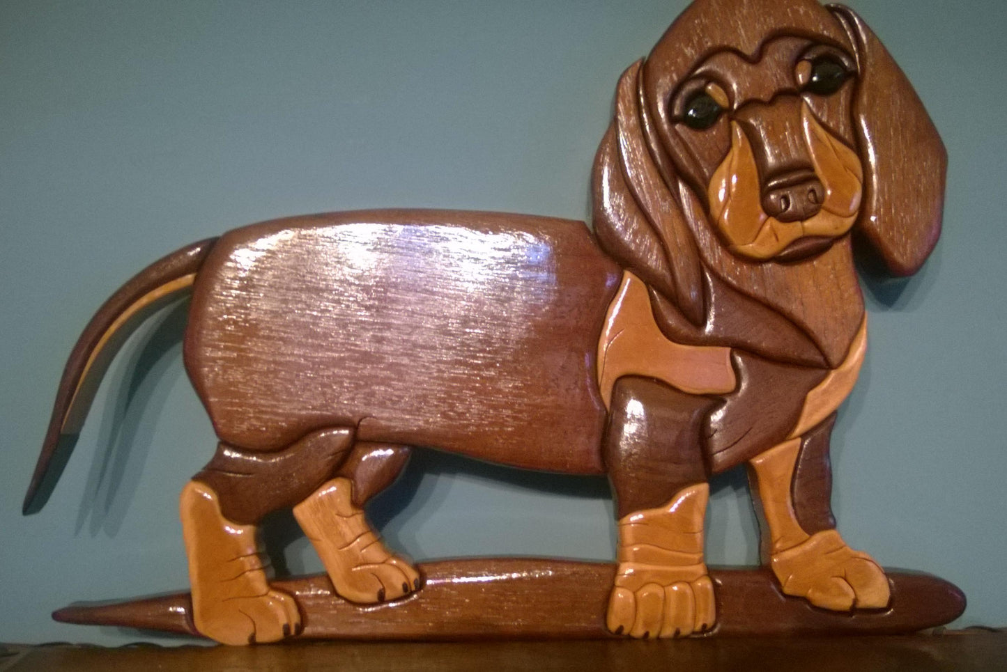 Dog - Dachshund