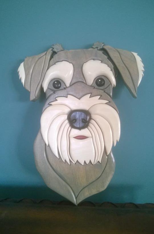 Dog - Schnauzer