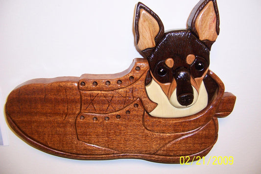Dog in a Shoe