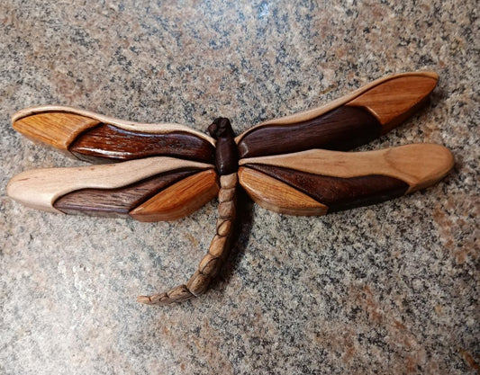 Dragonfly - Medium
