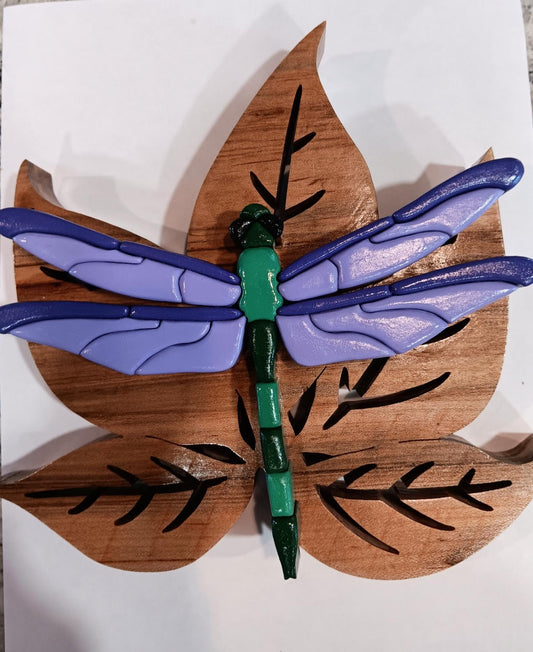 Dragonfly on a Leaf