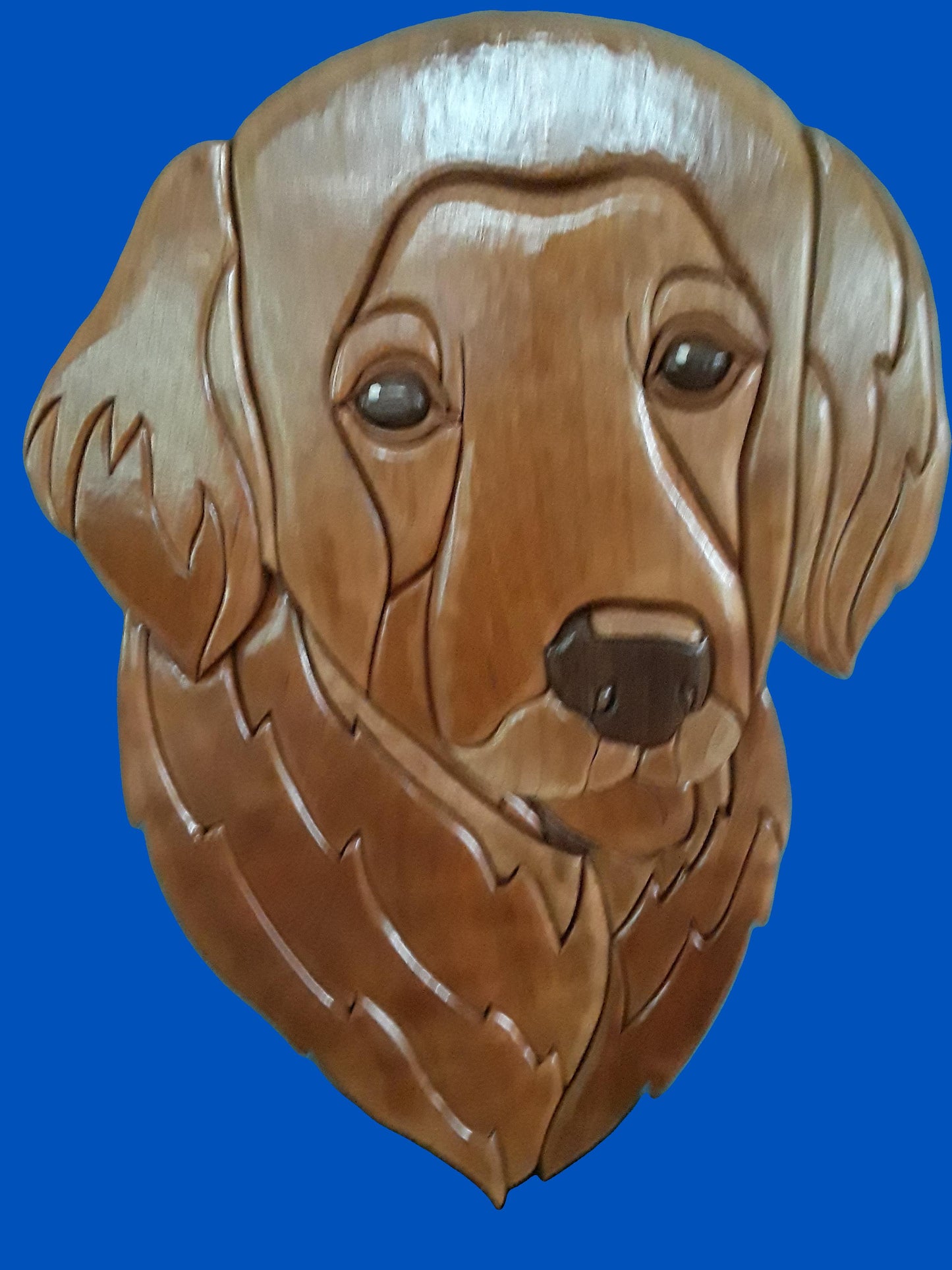 Dog - Golden Retriever