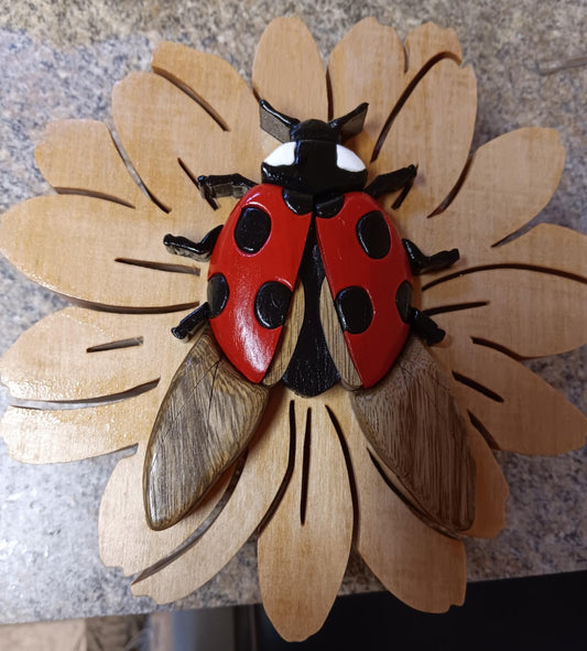 Ladybug