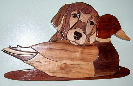 Pup and Decoy