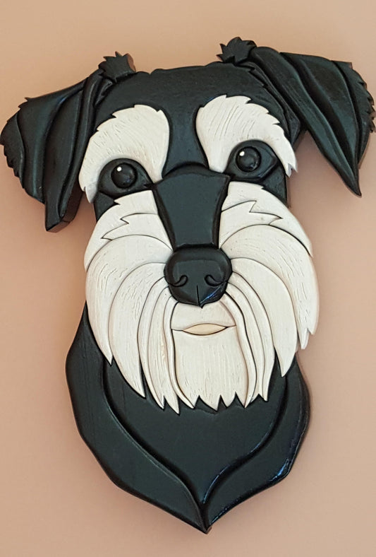 Dog - Schnauzer