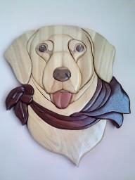 Dog - Yellow Labrador Retriever